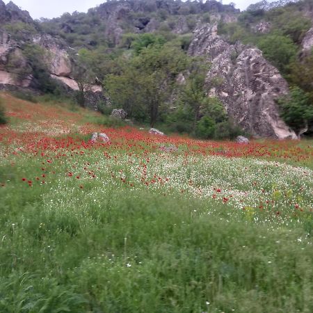 Сhachkari Acomodação com café da manhã Vardzia  Exterior foto